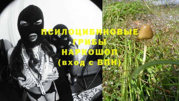 шишки Алексеевка