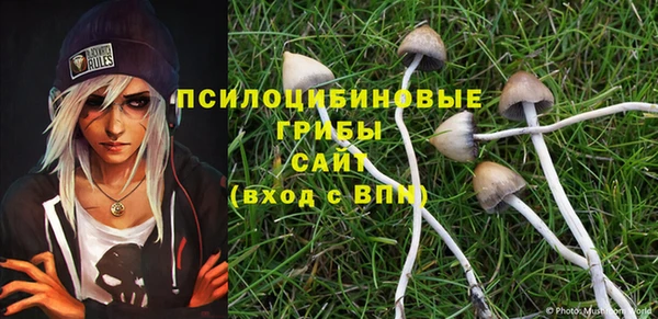 кокаин премиум Алексин